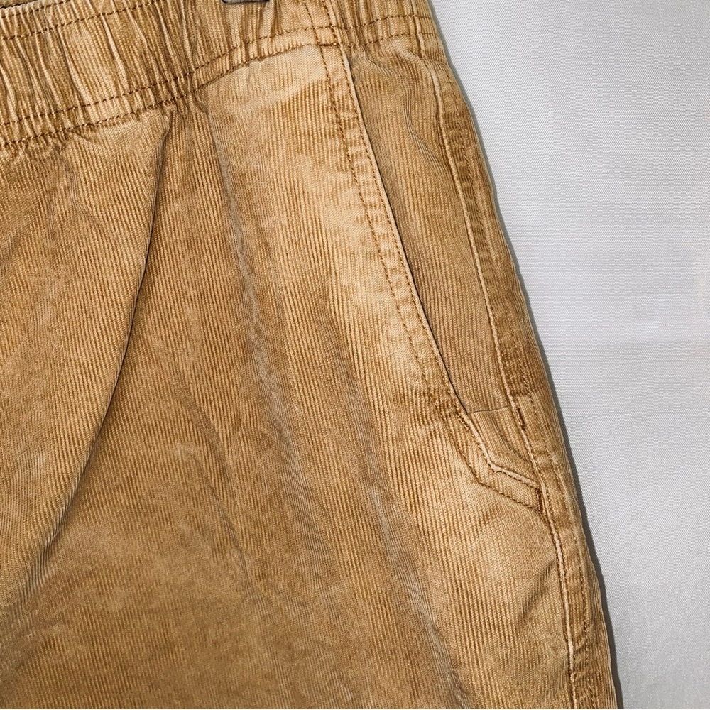 Men’s prAna Tan Corduroy Canyon Camp Shorts Sz XXL - Picture 4 of 11